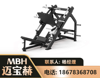 吴忠45°倒蹬训练器