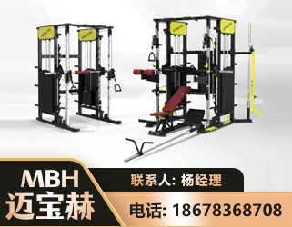 吴忠多功能综合训练器